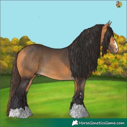 Horse Color:Buckskin Rabicano 