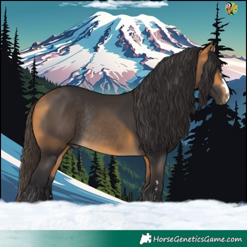 Horse Color:Buckskin Rabicano 