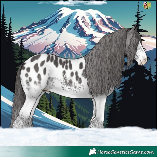 Horse Color:White Spotted Smoky Black Sabino Appaloosa 