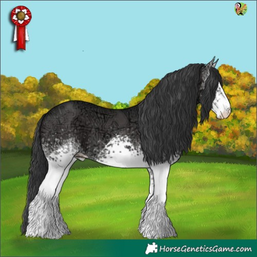 Horse Color:White Spotted Black Ice 