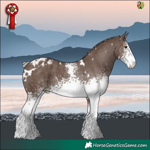 Horse Color:White Spotted Silver Black Varnish 