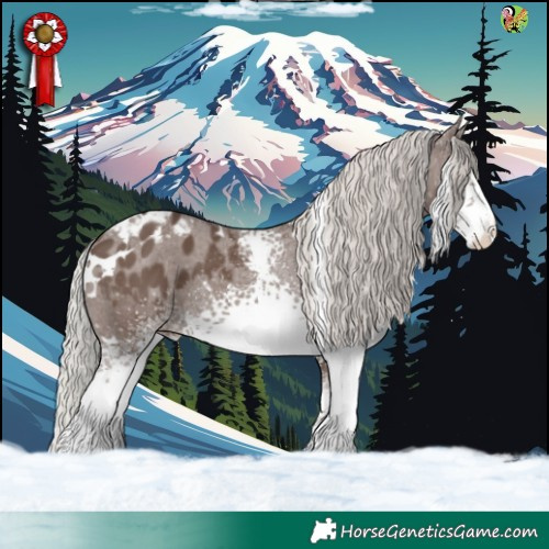 Horse Color:White Spotted Silver Black Appaloosa 