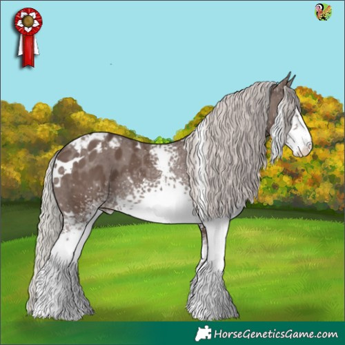 Horse Color:White Spotted Silver Black Appaloosa 