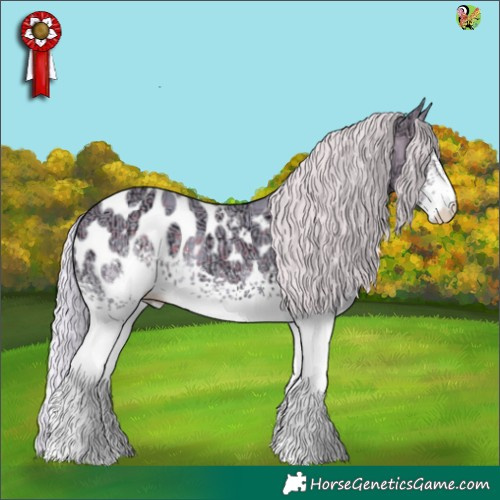 Horse Color:Watercolor White Spotted Silver Black Ice Appaloosa 