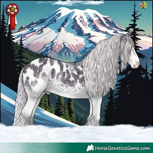 Horse Color:Watercolor White Spotted Silver Black Ice Appaloosa 