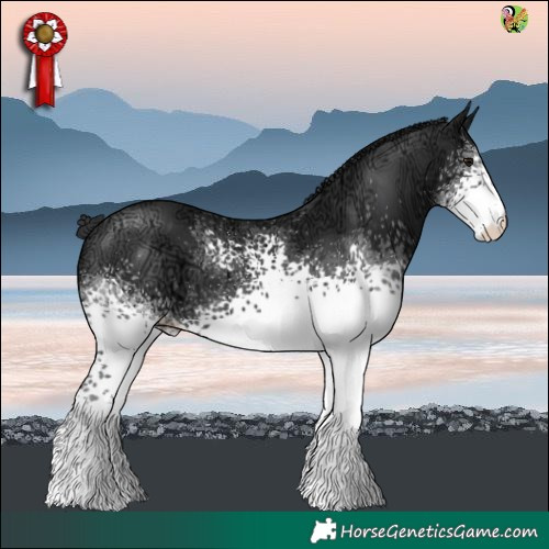 Horse Color:White Spotted Black Ice 