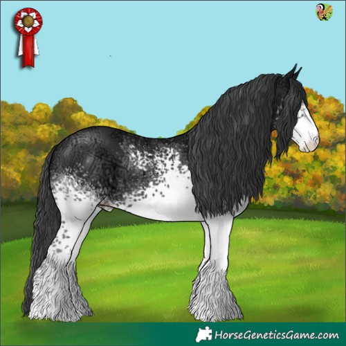 Horse Color:White Spotted Black Ice 