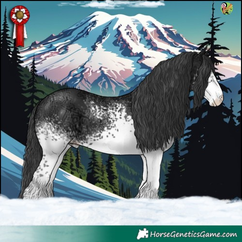 Horse Color:White Spotted Black Ice 