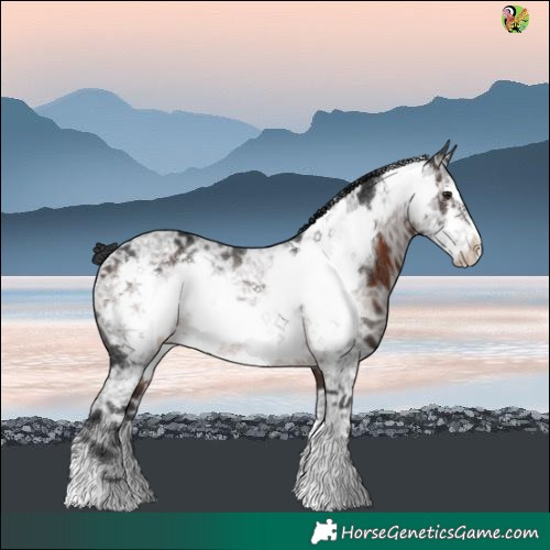Horse Color:Brown Ice Frame Rabicano 