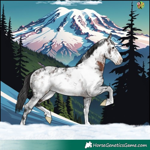 Horse Color:Brown Ice Frame Rabicano 