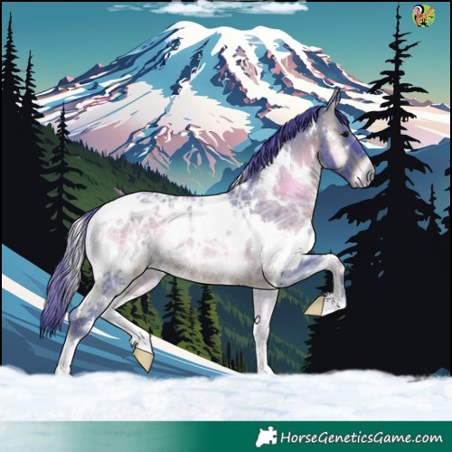 Horse Color:Watercolor White Spotted Brown Ice Onyx Rabicano 
