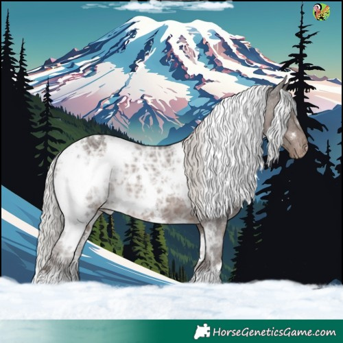 Horse Color:White Spotted Silver Black Ice Appaloosa 