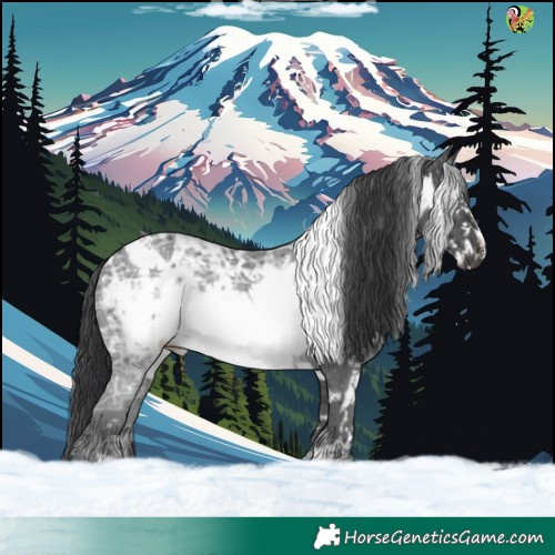 Horse Color:White Spotted Black Ice Frame Rabicano 