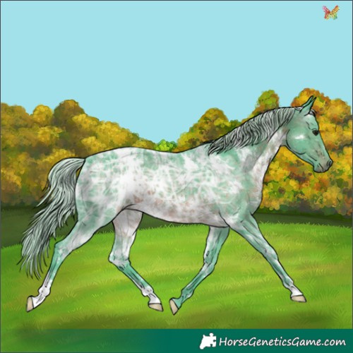 Horse Color:Watercolor White Spotted Silver Brown Ice 