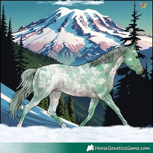 Horse Color:Watercolor White Spotted Silver Brown Ice 