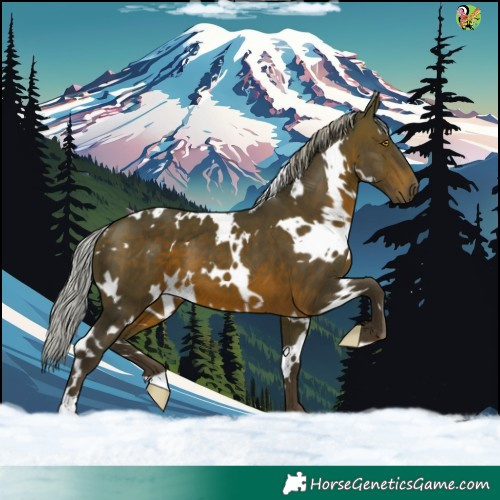 Horse Color:White Spotted Silver Brown 