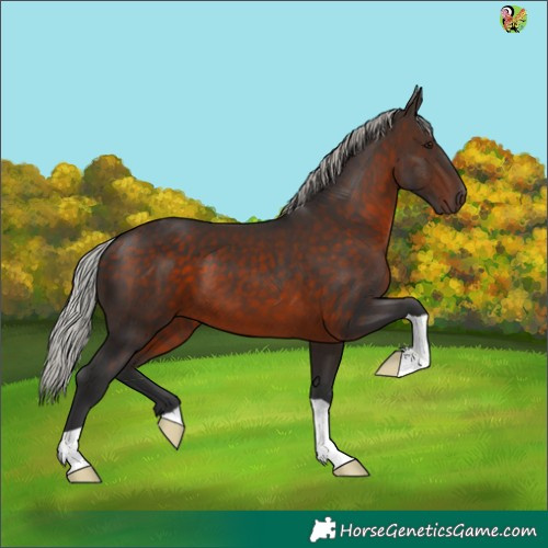 Horse Color:Silver Brown 