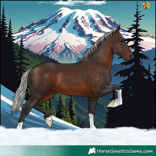 Horse Color:Silver Brown 
