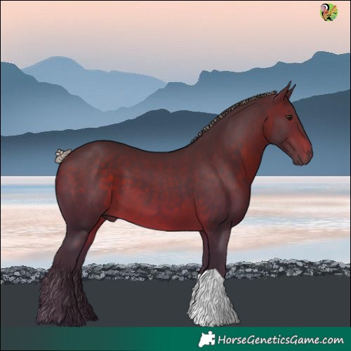 Horse Color:Silver Brown 