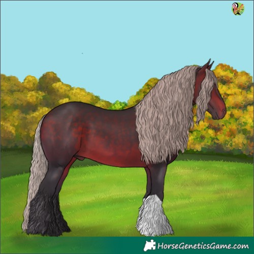Horse Color:Silver Brown 