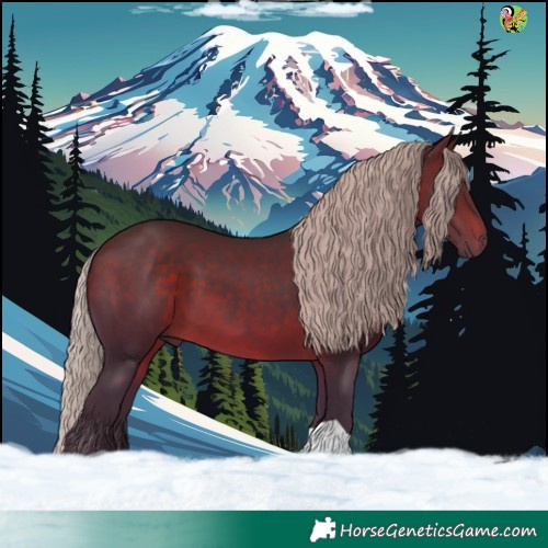 Horse Color:Silver Brown 