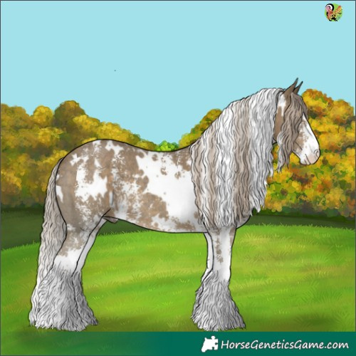 Horse Color:White Spotted Silver Black Sabino 