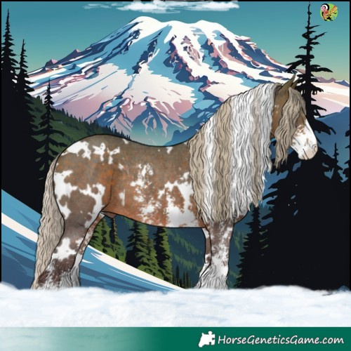 Horse Color:White Spotted Silver Brown Sabino Rabicano 