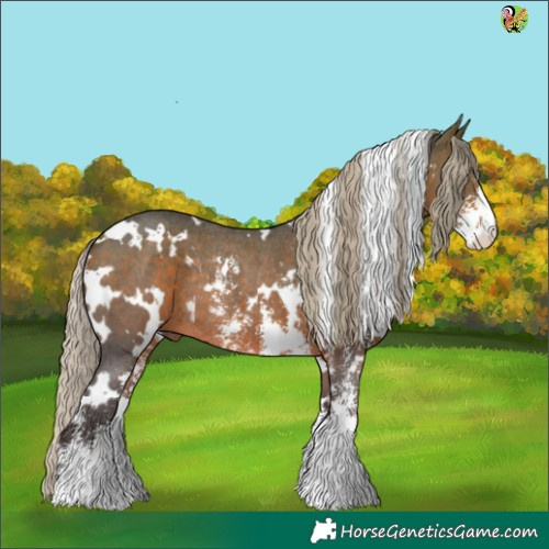 Horse Color:White Spotted Silver Brown Sabino Rabicano 