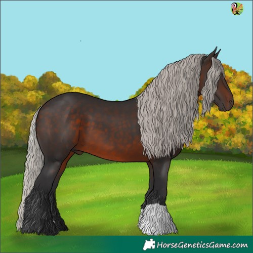 Horse Color:Silver Brown 