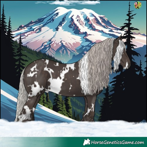 Horse Color:White Spotted Silver Black 
