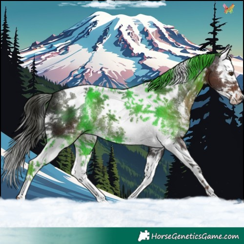 Horse Color:Liver Chestnut Sabino Splash Tobiano 