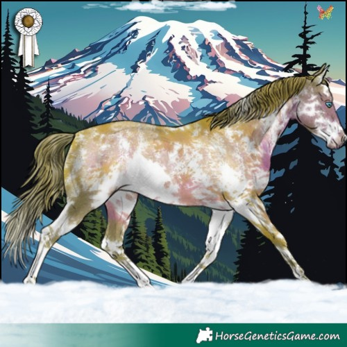 Horse Color:Watercolor Liver Chestnut Sabino Splash 