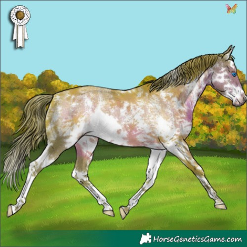Horse Color:Watercolor Liver Chestnut Sabino Splash 