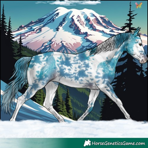 Horse Color:Watercolor Liver Chestnut Sabino Splash Tobiano 