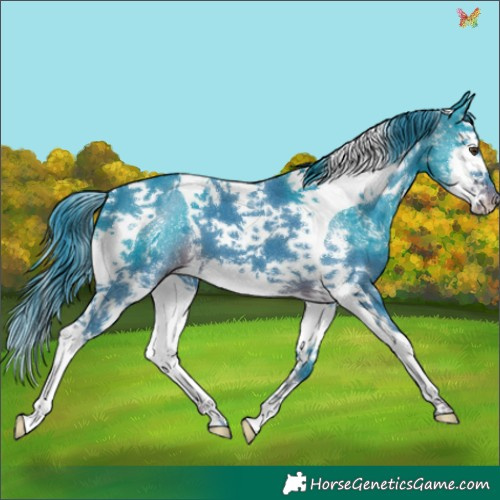 Horse Color:Watercolor Liver Chestnut Sabino Splash Tobiano 
