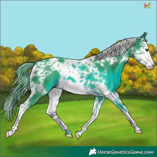 Horse Color:Watercolor Liver Chestnut Splash Tobiano 