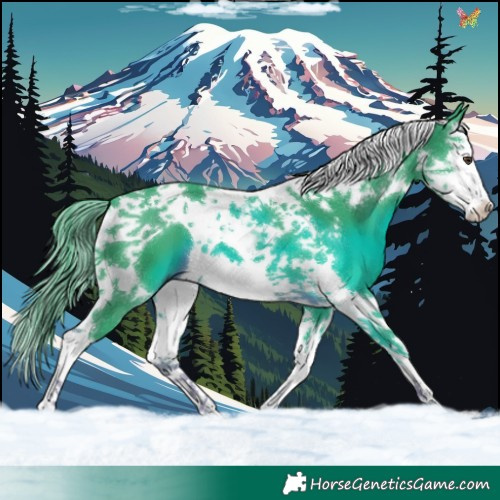 Horse Color:Watercolor Liver Chestnut Splash Tobiano 
