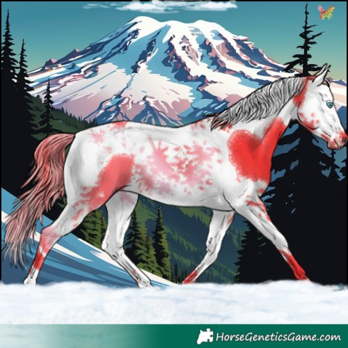Horse Color:Watercolor Liver Chestnut Splash Tobiano 