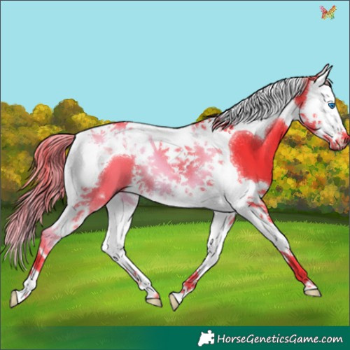 Horse Color:Watercolor Liver Chestnut Splash Tobiano 