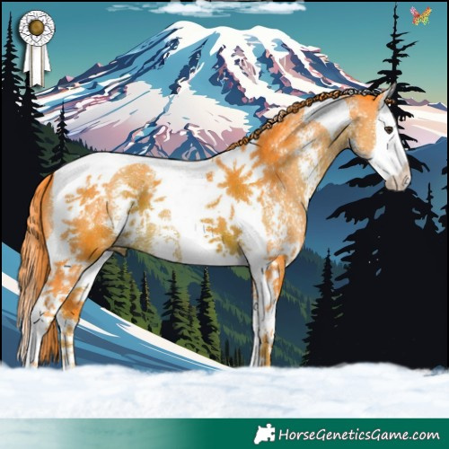 Horse Color:Watercolor Liver Chestnut Sabino Splash Tobiano 