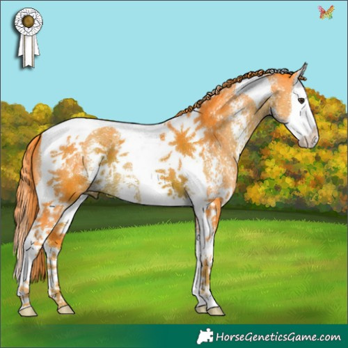 Horse Color:Watercolor Liver Chestnut Sabino Splash Tobiano 