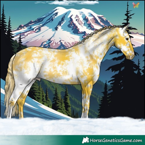 Horse Color:Watercolor Liver Chestnut Sabino Splash 