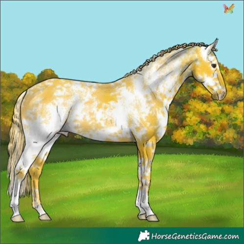 Horse Color:Watercolor Liver Chestnut Sabino Splash 