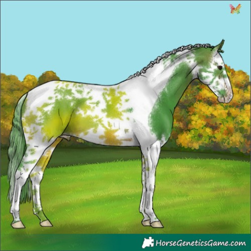 Horse Color:Watercolor Brown Splash Tobiano 