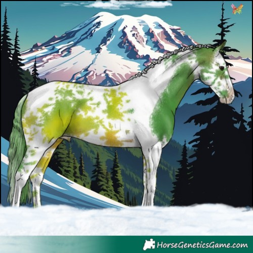 Horse Color:Watercolor Brown Splash Tobiano 