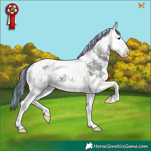Horse Color:Painted Watercolor Midnight Blue Onyx Ice Sabino Splash Tobiano 