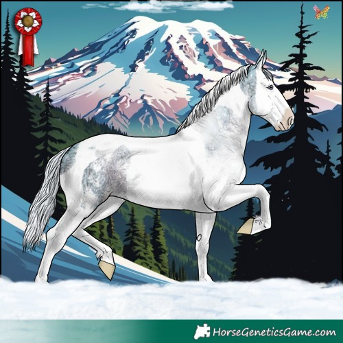 Horse Color:Watercolor Silver Black Chinchilla Ice Sabino Splash Tobiano 