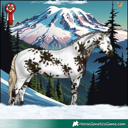 Horse Color:Watercolor Midnight Liver Chestnut Ice Splash Tobiano Frame 