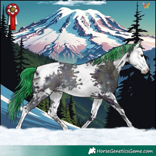Horse Color:Painted Watercolor Midnight Liver Chestnut Ice Splash Tobiano 