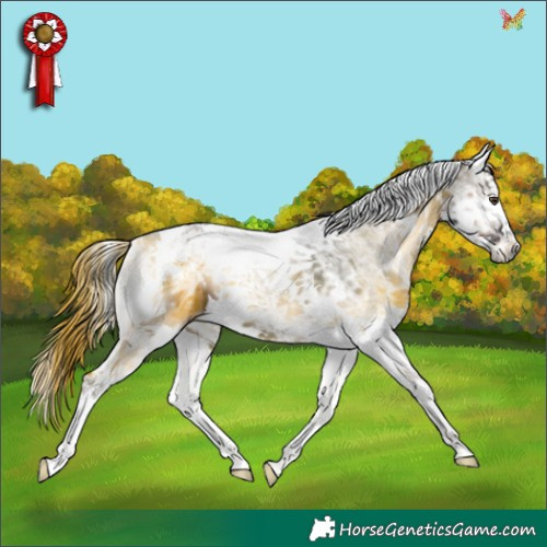 Horse Color:Liver Red Onyx Ice Splash Tobiano 